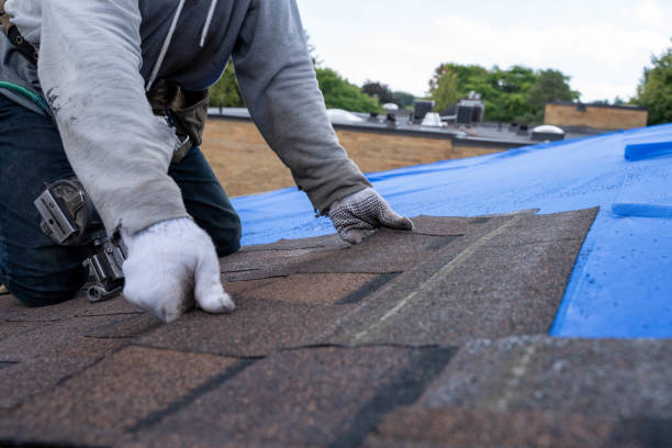 Best Roof Repair Services  in Ypsilanti, MI
