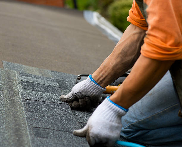 Best New Roof Installation  in Ypsilanti, MI